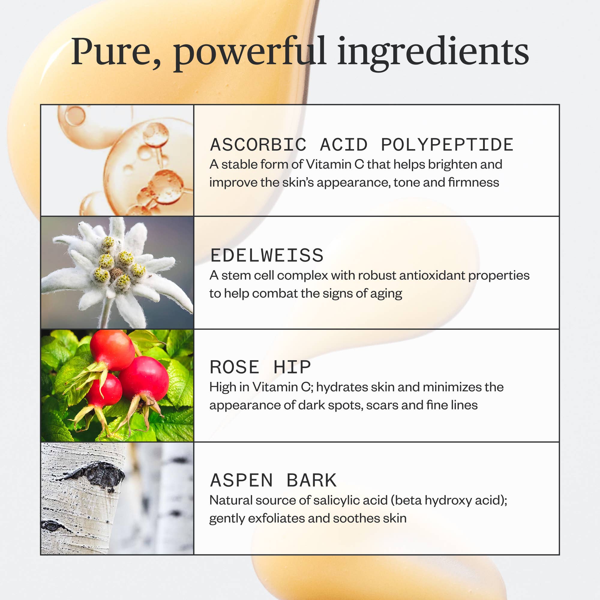 Brighten Up Vitamin C Serum - ACME FINE GOODS