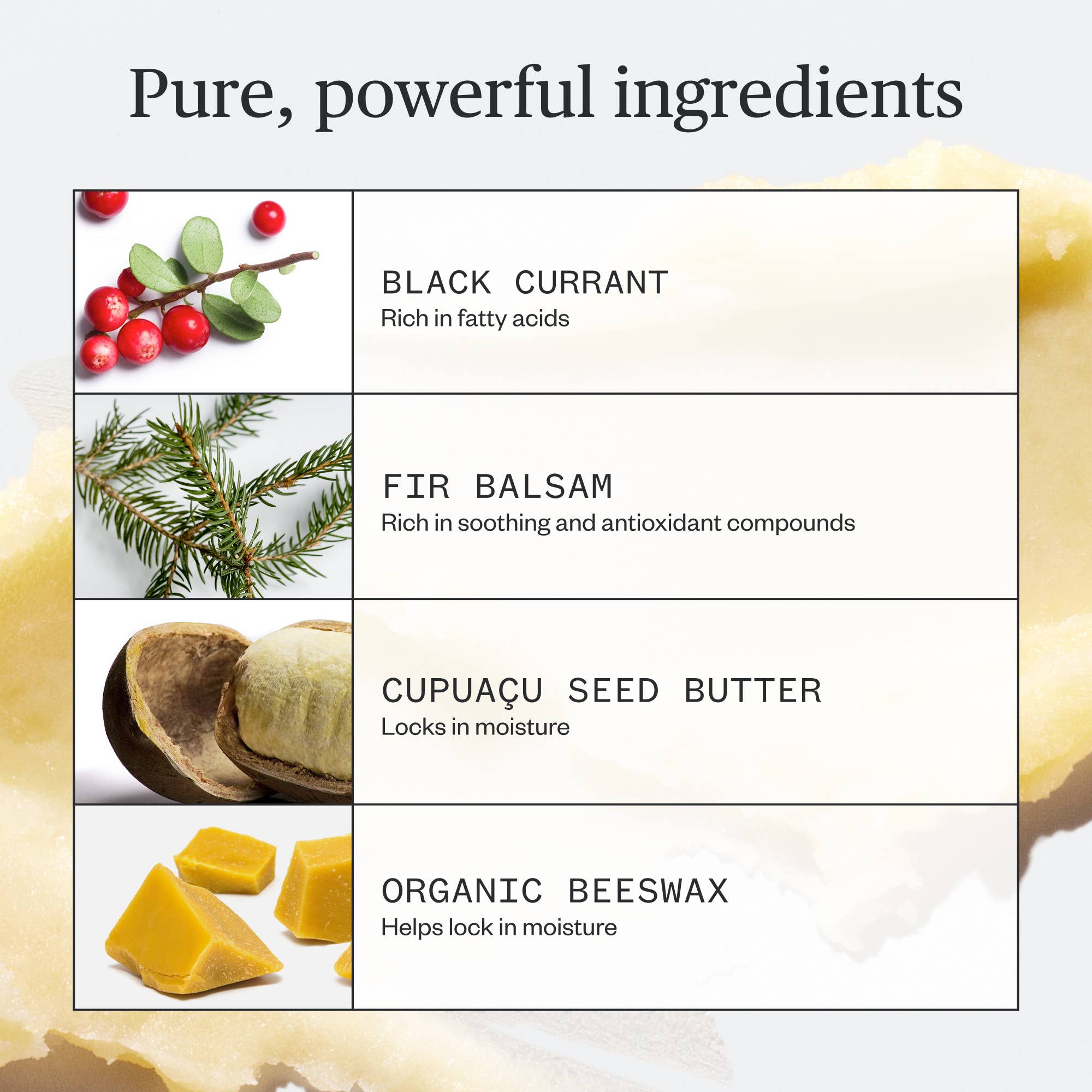 Going Places Lip Balm - ACME FINE GOODS