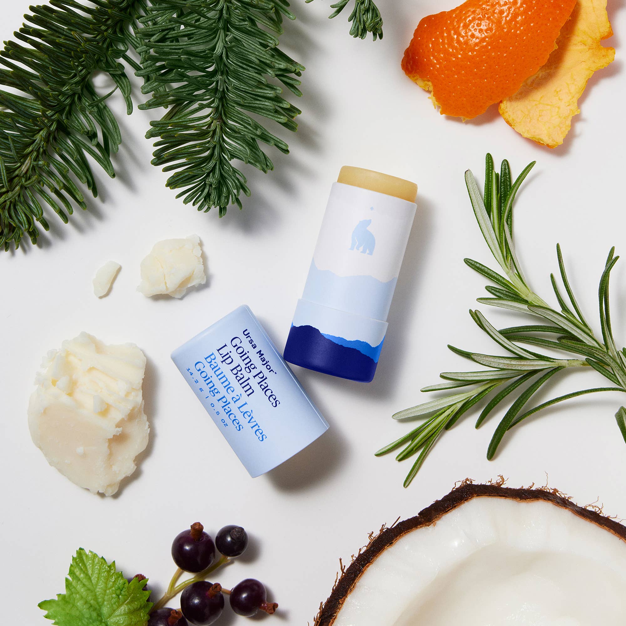 Going Places Lip Balm - ACME FINE GOODS