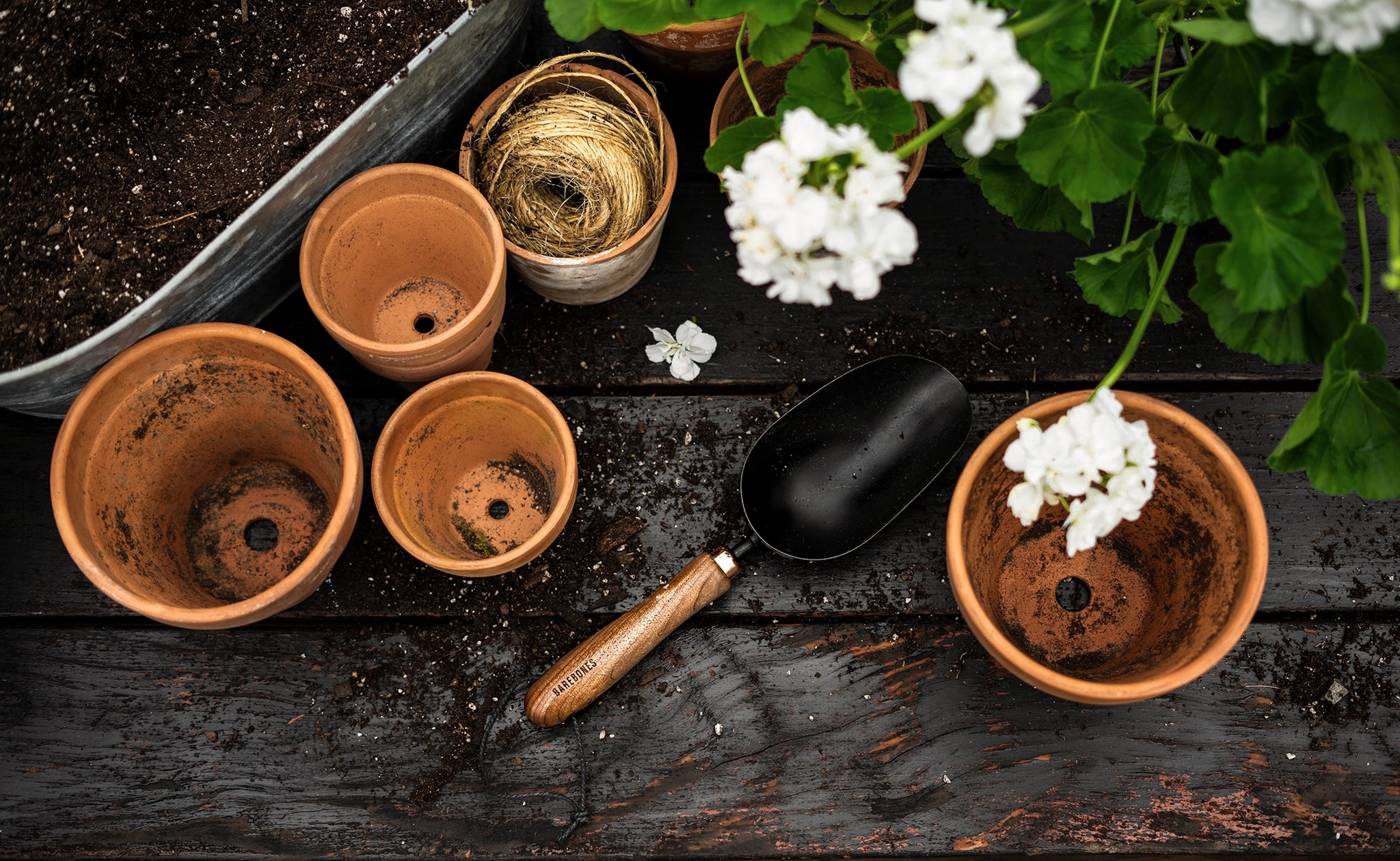 Garden Scoop - ACME FINE GOODS