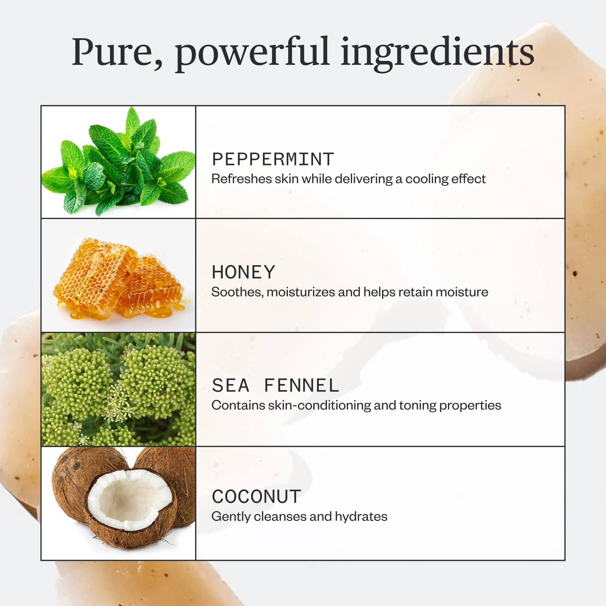 Hoppin' Fresh Bar Soap - ACME FINE GOODS