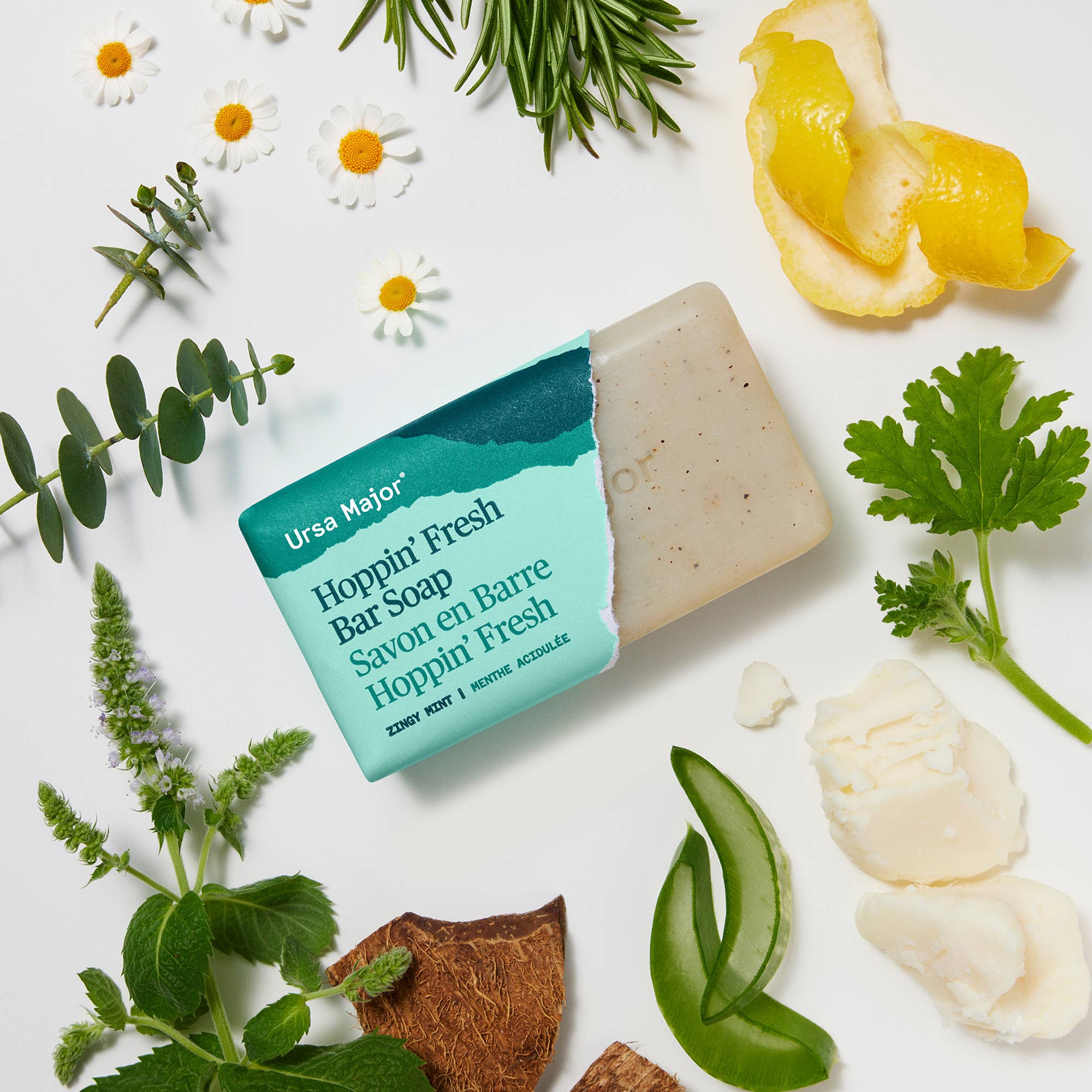 Hoppin' Fresh Bar Soap - ACME FINE GOODS