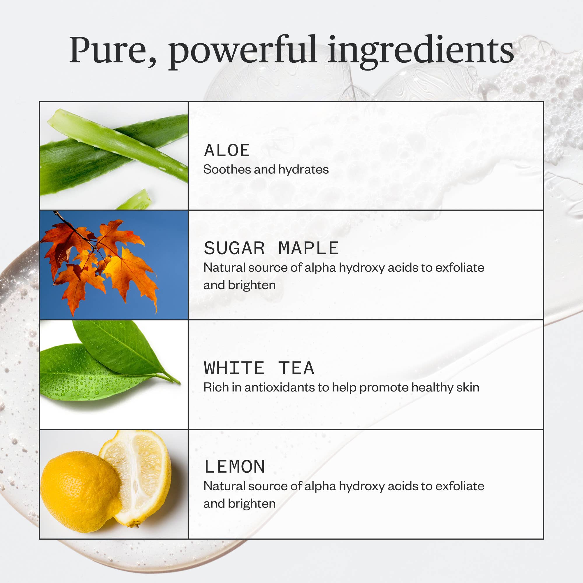 Fantastic Face Wash - ACME FINE GOODS