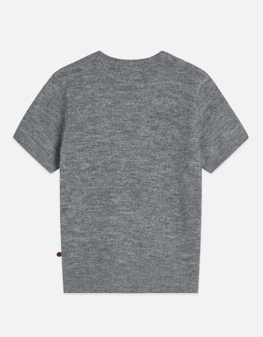 Embroidered SS Pullover