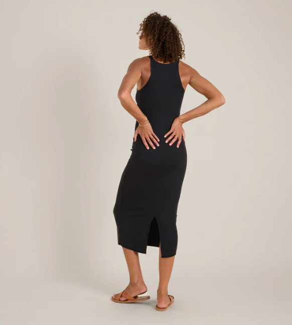 Wind Worn Dress - ACME FINE GOODS