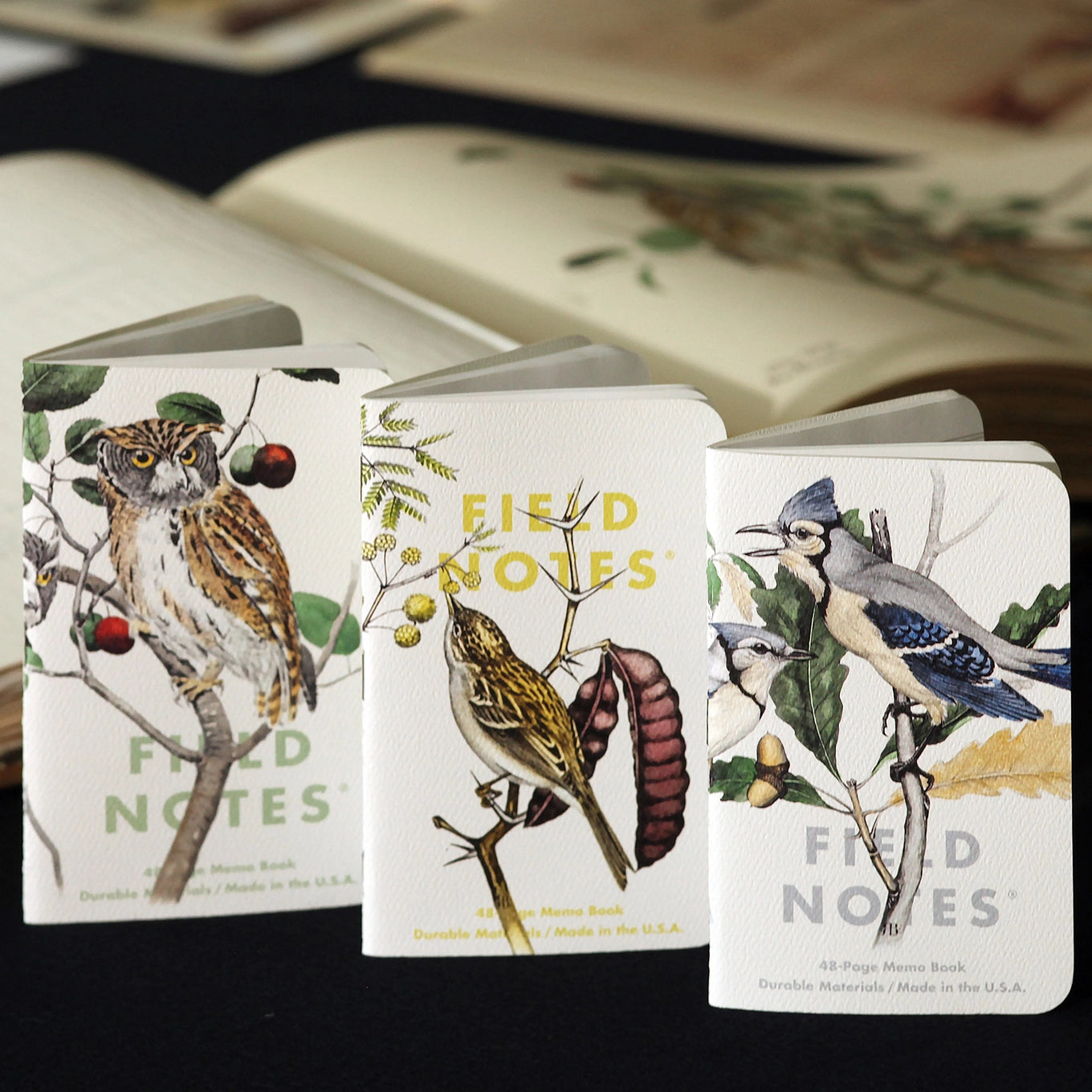 Birds & Trees of North America - ACME FINE GOODS