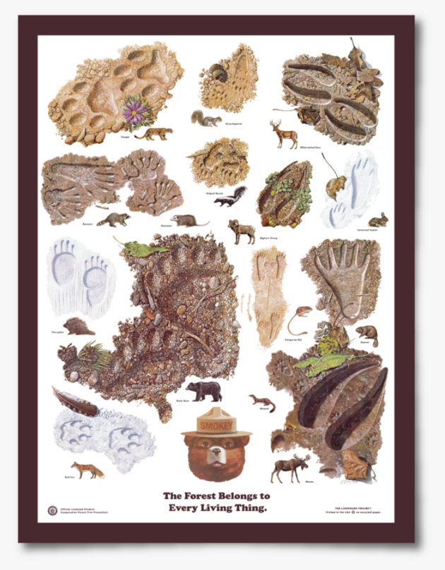 Posters by Landmark Project - ACME FINE GOODS